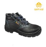 پوتین ایمنی مایان