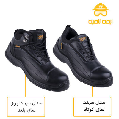 کفش ایمنی سهند